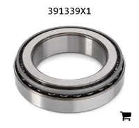 AGCO 391339X1 Конический роликовый подшипниковый узел