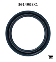AGCO 3014905X1 Радиальное уплотнительное кольцо
