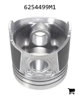 AGCO 6254499M1 Поршень