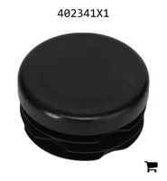 AGCO 402341X1 Заглушка