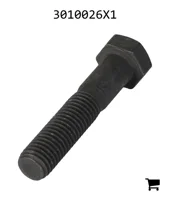 AGCO 3010026X1 Болт с шестигранной головкой