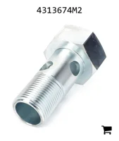 AGCO 4313674M2 Болт банджо