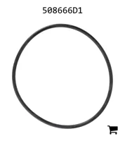 AGCO 508666D1 Прокладка корпуса Y-образного фильтра