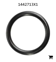 AGCO 1442713X1 Уплотнительное кольцо