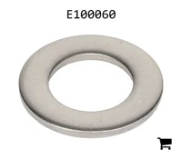 AGCO E100060 Шайба