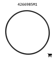 AGCO 4266985M1 Кольцо