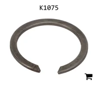 AGCO K1075 Кольцо