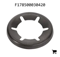 AGCO F178500030420 Стопорное кольцо оси