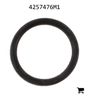 AGCO 4257476M1 Уплотнительное кольцо