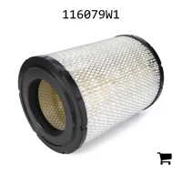 AGCO 116079W1 Воздушный фильтр