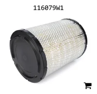 AGCO 116079W1 Воздушный фильтр