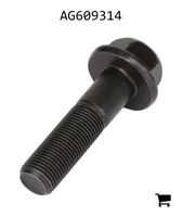 AGCO AG609314 Болт с шестигранной головкой и фланцем