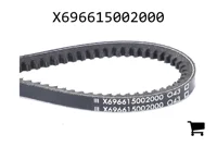 AGCO X696615002000 Ремень клиновой