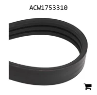 AGCO ACW1753310 Ремень привода зернового элеватора, 4488 мм