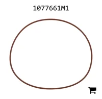 AGCO 1077661M1 Уплотнительное кольцо