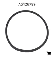 AGCO AG426789 Прокладка