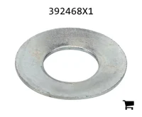 AGCO 392468X1 Пружинная шайба