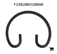 AGCO F198200310040 Стопорная шайба