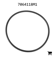 AGCO 7064118M1 Уплотнительное кольцо