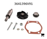 AGCO 3641396V91 Ремонтный комплект