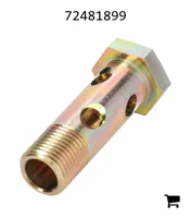 AGCO 72481899 Болт банджо