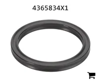 AGCO 4365834X1 Прокладка