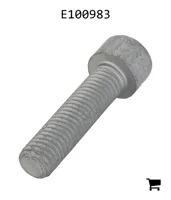 AGCO E100983 Болт