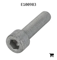 AGCO E100983 Болт