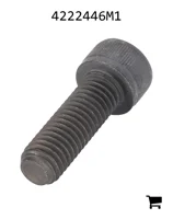 AGCO 4222446M1 Винт с внутренним шестигранником