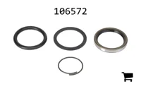 AGCO 106572 Комплект уплотнений