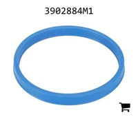 AGCO 3902884M1 Прокладка