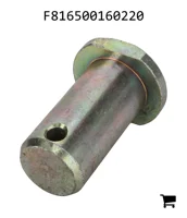 AGCO F816500160220 Болт