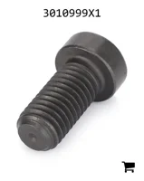 AGCO 3010999X1 Винт с потайной головкой