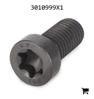 AGCO 3010999X1 Винт с потайной головкой