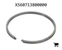 AGCO X560713800000 Компрессионное кольцо