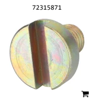AGCO 72315871 Винт