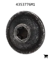 AGCO 4353776M1 Винт специальный