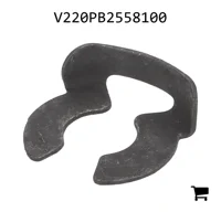 AGCO V220PB2558100 Зажим