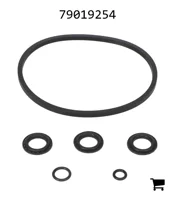 AGCO 79019254 Стрела