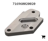 AGCO 716960020020 Торцевая пластина