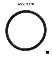 AGCO AG519378 Уплотнительное кольцо