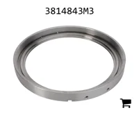 AGCO 3814843M3 Кольцо