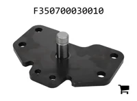 AGCO F350700030010 Опорная пластина