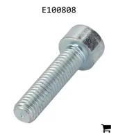 AGCO E100808 Болт