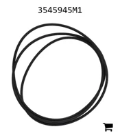AGCO 3545945M1 Уплотнительное кольцо