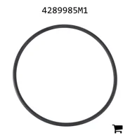AGCO 4289985M1 Уплотнительное кольцо, вспомогательная гидравлика, гидравлический фильтр