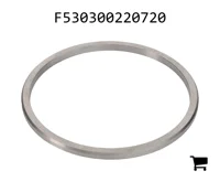 AGCO F530300220720 Шайба