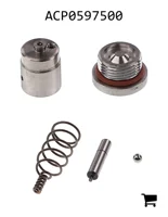 AGCO ACP0597500 Комплект запчастей