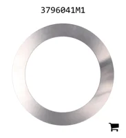 AGCO 3796041M1 Шайба