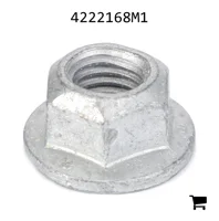 AGCO 4222168M1 Гайка